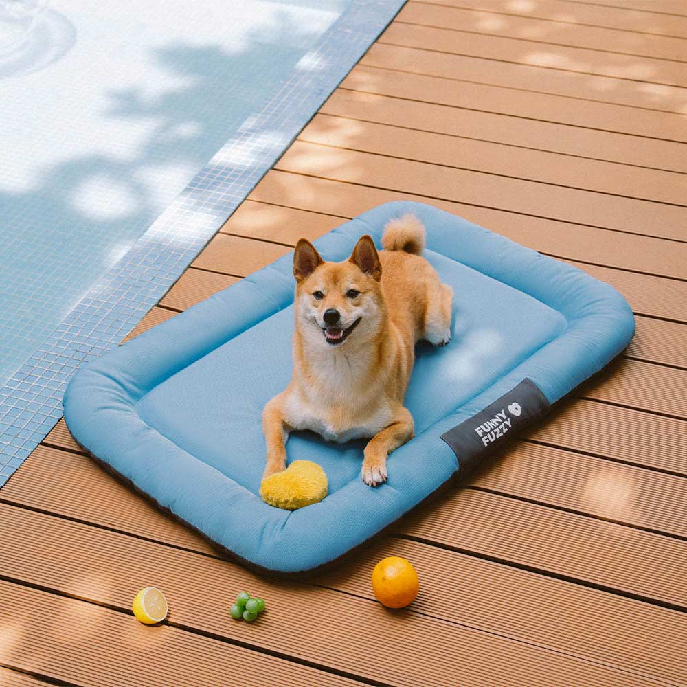 import placeholder for 15097577